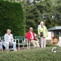 IMG_798383