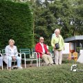 IMG_798384