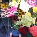 IMG_807528