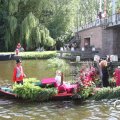 IMG_807533