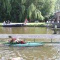 IMG_807534