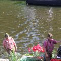 IMG_807547