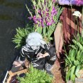 IMG_807582