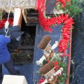 IMG_807596