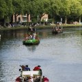 IMG_807610