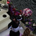 IMG_807617