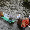 IMG_807662