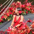 IMG_807736
