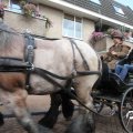 IMG_816013