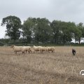 IMG_820609