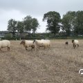 IMG_820610