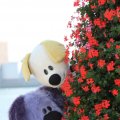 IMG_827063