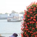 IMG_827064