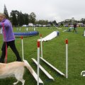IMG_830254