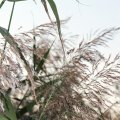IMG_830940