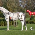 IMG_831060