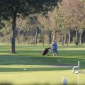 IMG_831072
