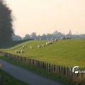 IMG_831078