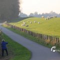 IMG_831087