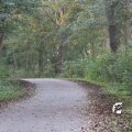 IMG_831101