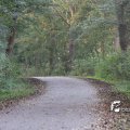 IMG_831102