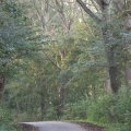 IMG_831103