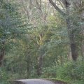 IMG_831104