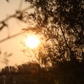 IMG_831112