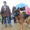IMG_848409