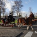IMG_853407