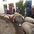 IMG_857680