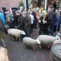IMG_858186
