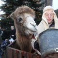 IMG_858209