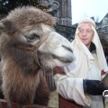 IMG_858210