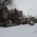 IMG_862391