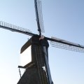 IMG_864250