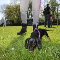 IMG_894086