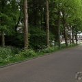 IMG_901731