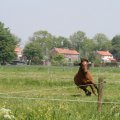 IMG_902280