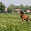 IMG_902281