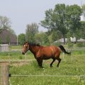 IMG_902285
