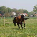 IMG_902288