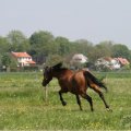 IMG_902289