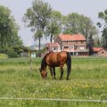 IMG_902291