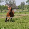 IMG_902296