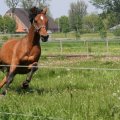 IMG_902297
