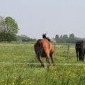 IMG_902303