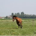 IMG_902335