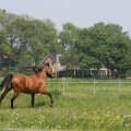 IMG_902341