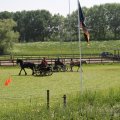 IMG_902371